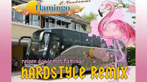 flamingo reizen