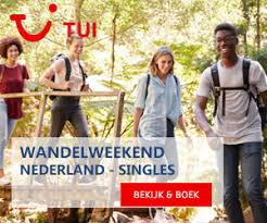 single reizen tui