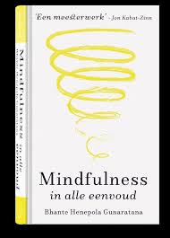 mindfulness boek