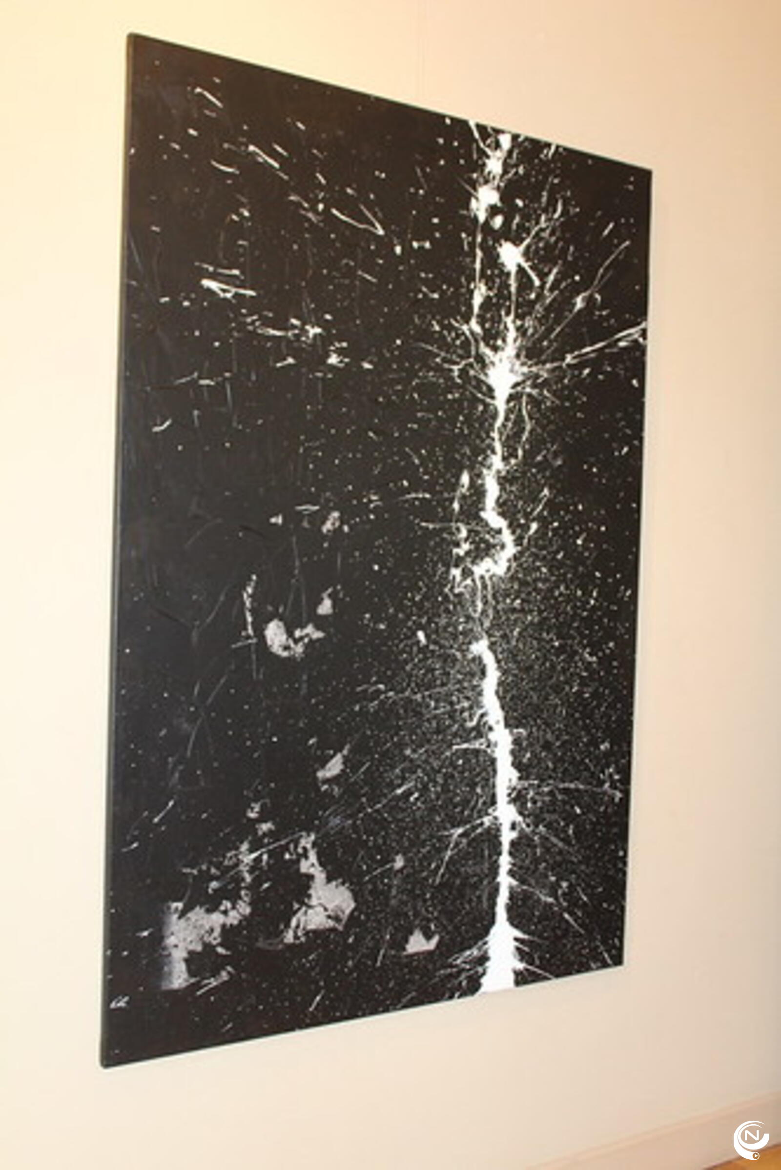 herman van veen kunst